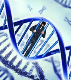 ДНК в качестве основания для более строгого наказания - Центр экспертиз и консалтинга "Консалтинг66.рф"